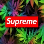 Landon Benoit - @_your_local_goof_ - Instagram