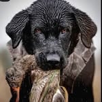 Landon Boone - @landon541070 - Instagram