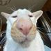 Landon Boyd - Facebook