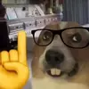 Landon - @landon_boyd_ - TikTok
