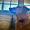 Landon Cherry - @landon.cherry0 - TikTok