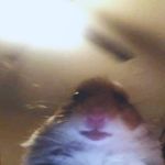 Landon Cunningham - @ja_morant_better12 - Instagram