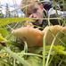 Landon Cunningham - Facebook