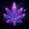 landoncunningham - @landoncunningham - TikTok