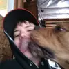 Landon Dunn - @landon.dunn8 - TikTok