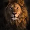 landon Becker - @landon.becker8 - TikTok