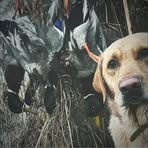 Landon Eilers - Facebook