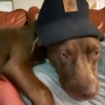 Landon Glover - @lg_glove - Instagram