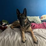 Landon Glover - Facebook