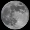 Landon Gray - @landon.gray6 - TikTok