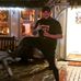 Landon Harris - Facebook