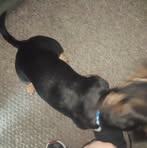 Landon Head - Facebook