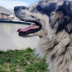 Landon Holman - @landonholman - Instagram