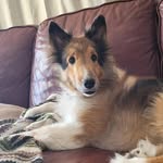 Landon Holman - @landon_holman123 - Instagram
