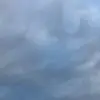 landonholman5 - @landonholman5 - TikTok