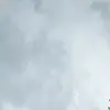 landonholman77 - @landon.holman3 - TikTok
