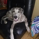 landon - @landon.layne.8 - Instagram