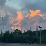 Landon Layfield - @landon_layfield - Instagram