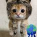 Landon Mathis - Facebook