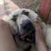 Landon McElroy - Facebook