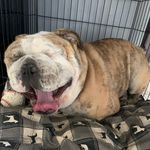 Landon Ramirez - @landonramirez70 - Instagram