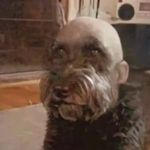 landon_ramirez__ - @landon_ramirez444 - Instagram