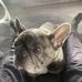 Layton Rigby - Facebook