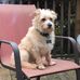 Landon Rollins - Facebook