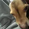 landon ross - @landon.ross1 - TikTok