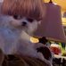 Landon Rowell - Facebook