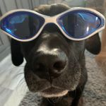 Landon Rubenstein Carter - @land0nrc - Instagram