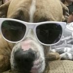 Landon Ryan Pevitt - @landonryanpevitt - Instagram