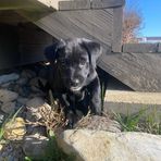 Landon Schroeder - Facebook