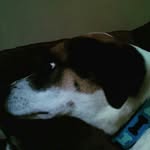 Landon Schroeder - @dooner18 - Instagram