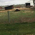 Landon Shipp - Facebook