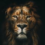 Landon Charlton/Seth Shook - @_7more_ - Instagram