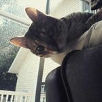 landon short - @landon7short - Instagram