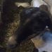 Landon Snider - Facebook