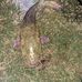 Landon Stratton - Facebook