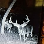 Landon strong - @landonstrong50 - Instagram