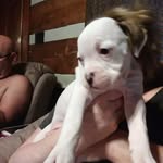 landon seth suggs - @landonsethsuggs - Instagram