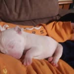 Landon suggs - @landonsuggs - Instagram