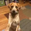 landontalbott932 - @landontalbott932 - TikTok