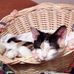 Teeter Landon - Facebook