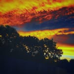 Landon stemple - @landonstemple - Instagram