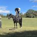Landon Terry - Facebook