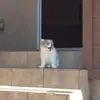jjwtuajette - @landonvasquez - TikTok