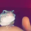 Landon Waldron - @lizardsandcats1 - TikTok