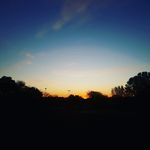 Landon Wall - @landonwall5 - Instagram