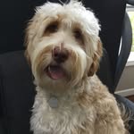 Landon Waller - @landonwaller952 - Instagram